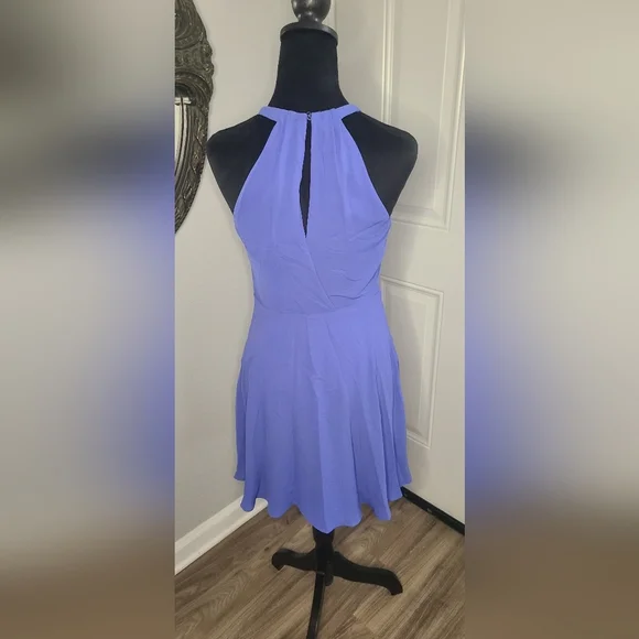 Express periwinkle dress - Picture 3 of 8